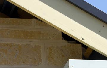 soffit repair Pennypot